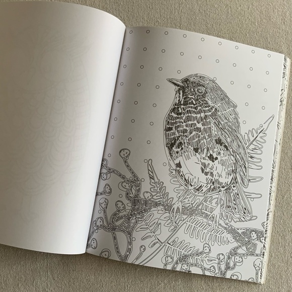 Nature Inspired Coloring Book Bundle - Picture 6 of 15